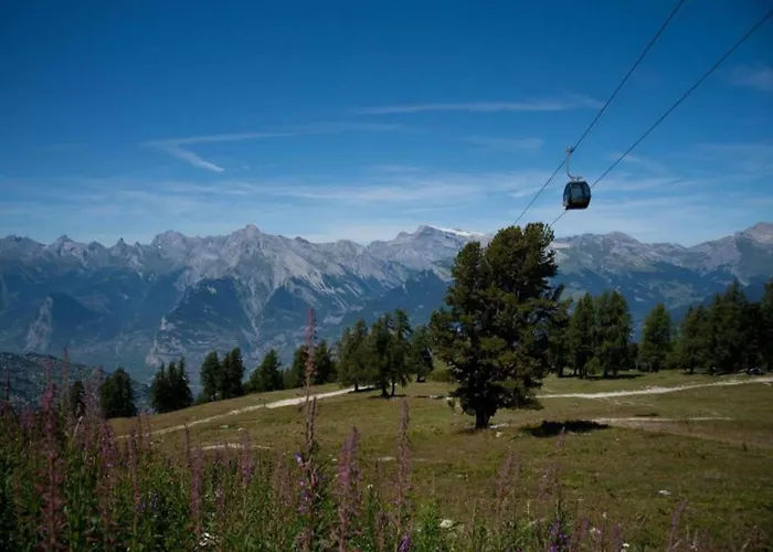 Appartement In With Pool *