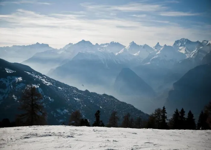 In With Pool 아파트 베이소나츠