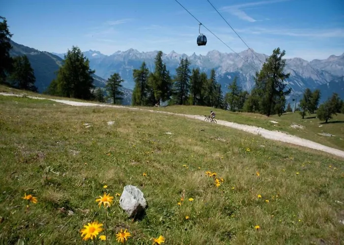 In With Pool Veysonnaz