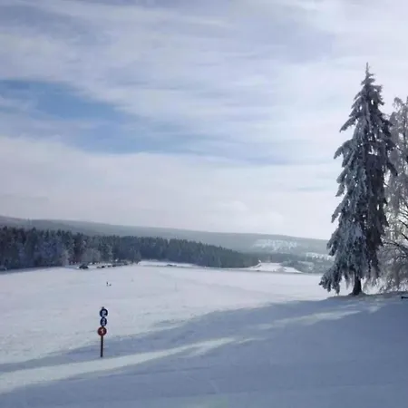 In With Pool Appartement Veysonnaz